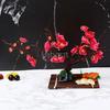 plate tray beauty seafood Sushi Decorating Flowers tree Plants Artistic Conception Decorating Ornament Creative Peach blossom