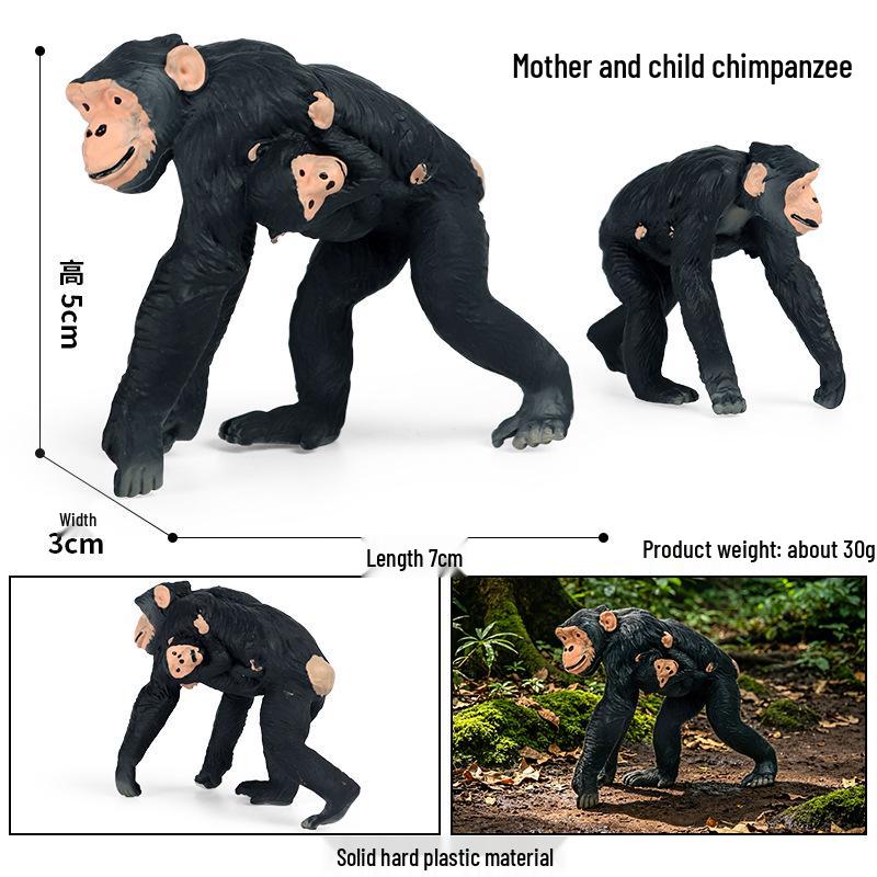 Realistic Animal Heart Model Toy: Lemur, Raccoon, Orangutan, Baboon