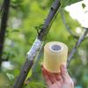 Nastro per Innesto Alberi da Frutto Piante Pellicola 100M X 3Cm Giardinaggio Eco