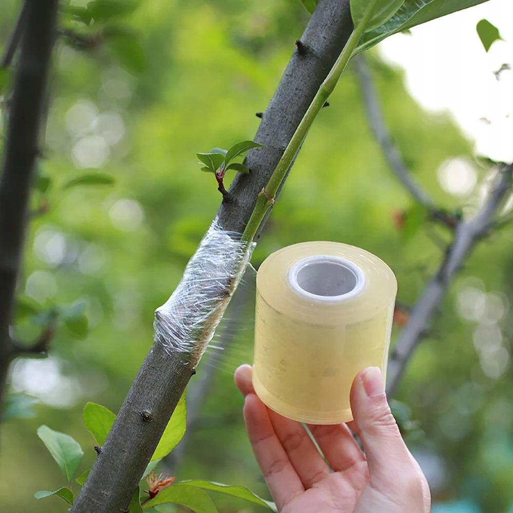 Nastro per Innesto Alberi da Frutto Piante Pellicola 100M X 3Cm Giardinaggio Eco