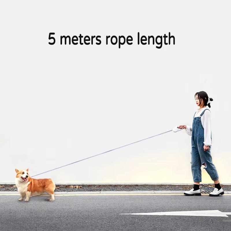 LED Einziehbare Hundeleine mit Licht für Welpen, Kleine Hunde, Mittlere Hunde, Große Hunde, Katzen, Haustierleine, Halsbandzubehör 3m/5m