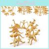 Detailed Archeological Dinosaur Skeleton Models Set Featuring 12 Unique Pvc Figures For Imaginative Play And Display