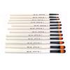 12PCS Professional Paintbrush Artist Paint Brushes Artist Art Set for Beginner