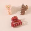Elegant Semicircle Hollow Hair Clip - Versatile, High-End Accessory for Back of Head