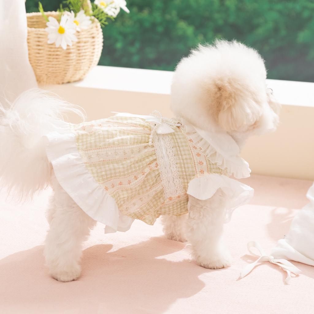 Doggy dress lightweight princess style lace dress for pets and cats
