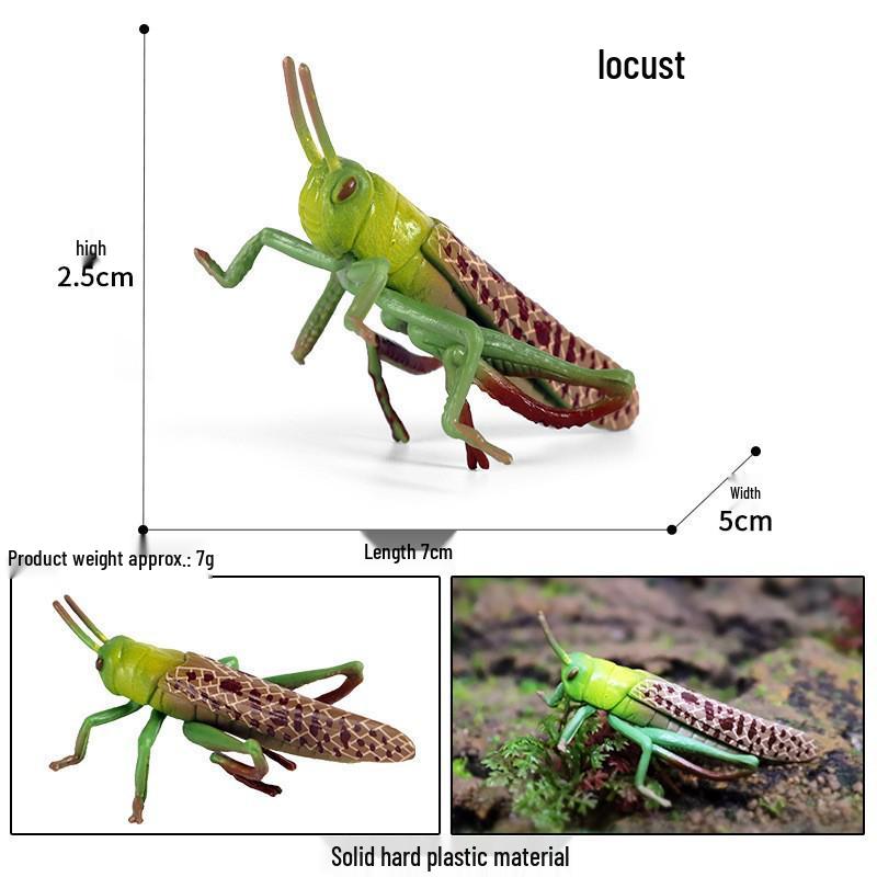 Cross-Border Simulation: Insect & Animal Model Zoo Toy Set