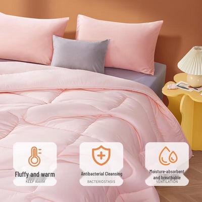 Anti-bacterial Quilt