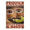 Vintage Metal Poster Tequila Lime 8x12 Inch Wall Art for Bar