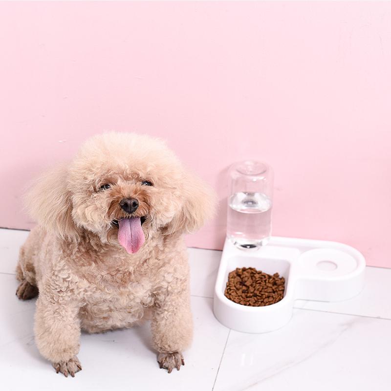 2-In-1 Automatic Drinking Love Pet Bowl Multi-Functional Pet Dog Cat Food Bowl Food Container With Waterer Pet Waterer Feeder