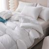Grace Down-like Fiber Winter Comforter