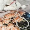 Spot Faux Pearl Pull Rope: Steel Wire Bite-Proof Small Dog Leash.