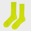 ROIDESROIS Daily Color Socks (5 Colors)