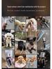 Portable Pet Hair Clipper & Groomer for Cats and Dogs - Special Household Trimmer for Pets and Humans