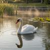Ozdoba Ogrodowa Łabędź Realistyczna Statua Białe Wykończenie do Stawu