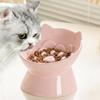 Ceramic Cat Slow Food Bowl Cute Slanted Mouth Dog Feeding Basin Creative Large Capacity Pet High Foot Bowl Kitten Puppy