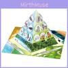 Paper Food Chain Pyramid Model Assembly Material Set Puzzle Toys For Children Educational Biology Set