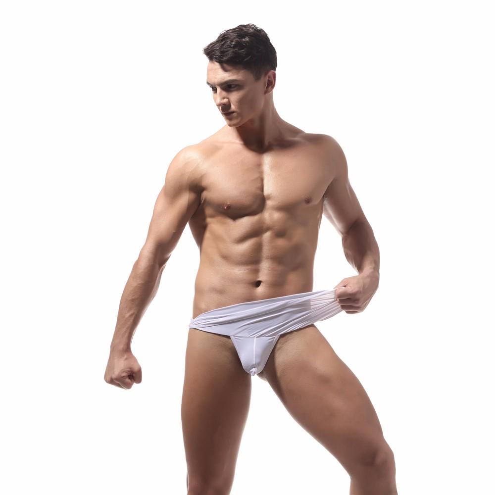 Trunks Sexy Underwear Men's  Shorts Bulge Pouch Underpants