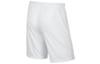 Nike Casual Shorts Men's Thin BV6855-100