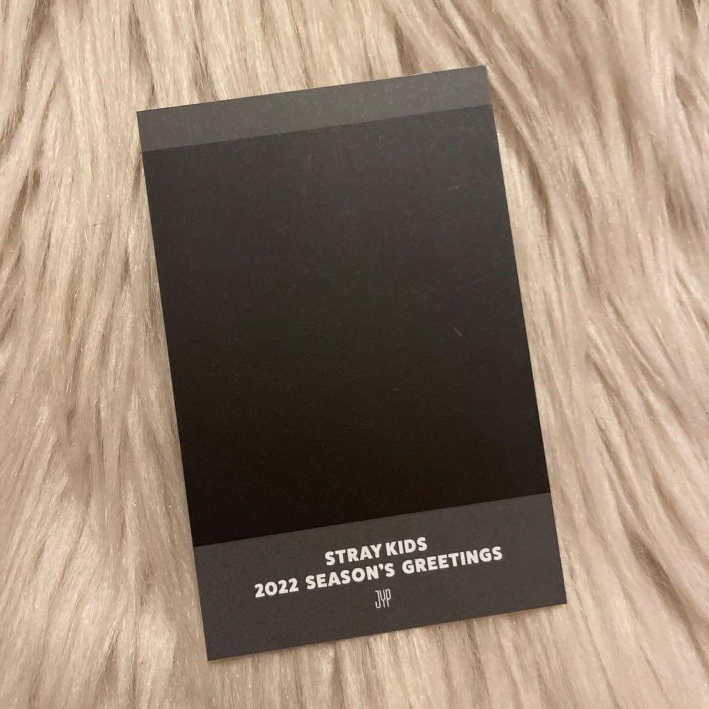 [USED] Stray Kids Felix Seagle 2022 Polaroid