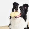 Peanut Shape Squeaky Dog Toy Tpr Teething Chew Toy Dog Boredom Relief Toy  Home Alone Entertainment