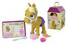 Verwen Huisdieren. Pony