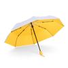 Automatic Weather and Rain Parasol Small Fresh Color Scheme Handle Umbrella