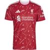 adidas Liverpool Soccer Jerseys Men's Chestnut Red Lapel Moderate KA6851
