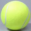 Hot Sale Yellow Tennis Balls Sports Tournament Outdoor Fun Cricket Beach Dog Ideal for Beach Cricket Tennis Practice or Beach