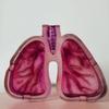 Decorative Ashtray with Distinctive Human Lungs Shape Enhances Your Environment