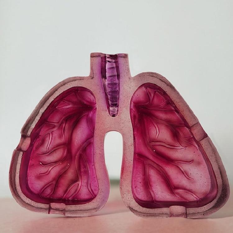 Decorative Ashtray with Distinctive Human Lungs Shape Enhances Your Environment