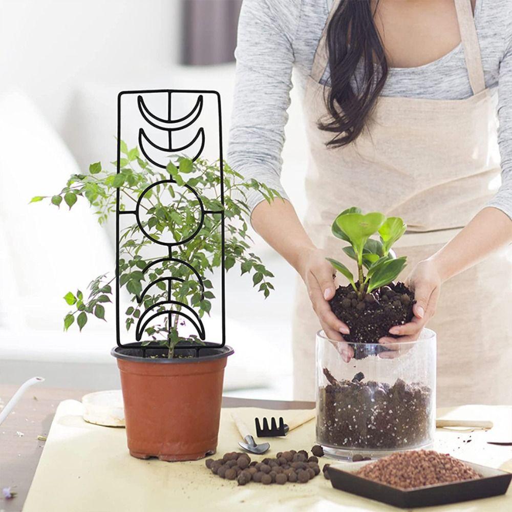 Durable Climbing Vine Frame Reusable Plant Stand Bonsai Tool Flowerpot Bracket  Flower Screen