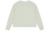 New Balance T Shirts Women's Light Green Crew Neck Straight Fit AWT21307-PGE