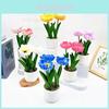 Decorațiuni pentru casă – Flori decorative şi coroane de flori
