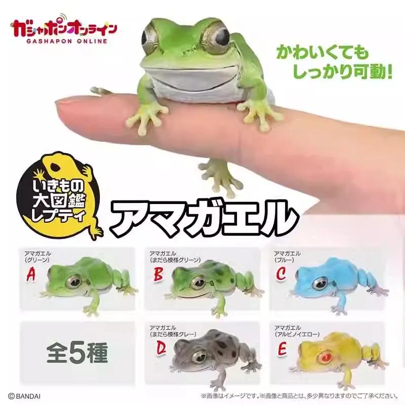Biologische Enzyklopädie Gashapon Spielzeug Japanischer Laubfrosch Nordost-Regenfrosch Simulierte Bewegliche Tierfiguren Ornamente Spielzeug