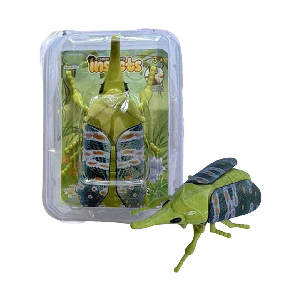 Realistic Beetle Insect Model Toy Crawling Bug Replica Educational Collectible for Kids and Adults Durable Plastic Construction