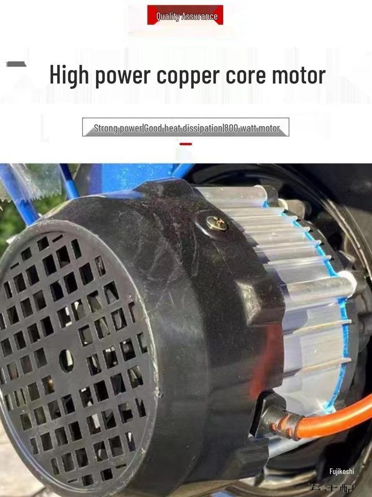 24V Electric Tricycle Motor Assembly: 500W, 650W, 800W, 1000W Differential