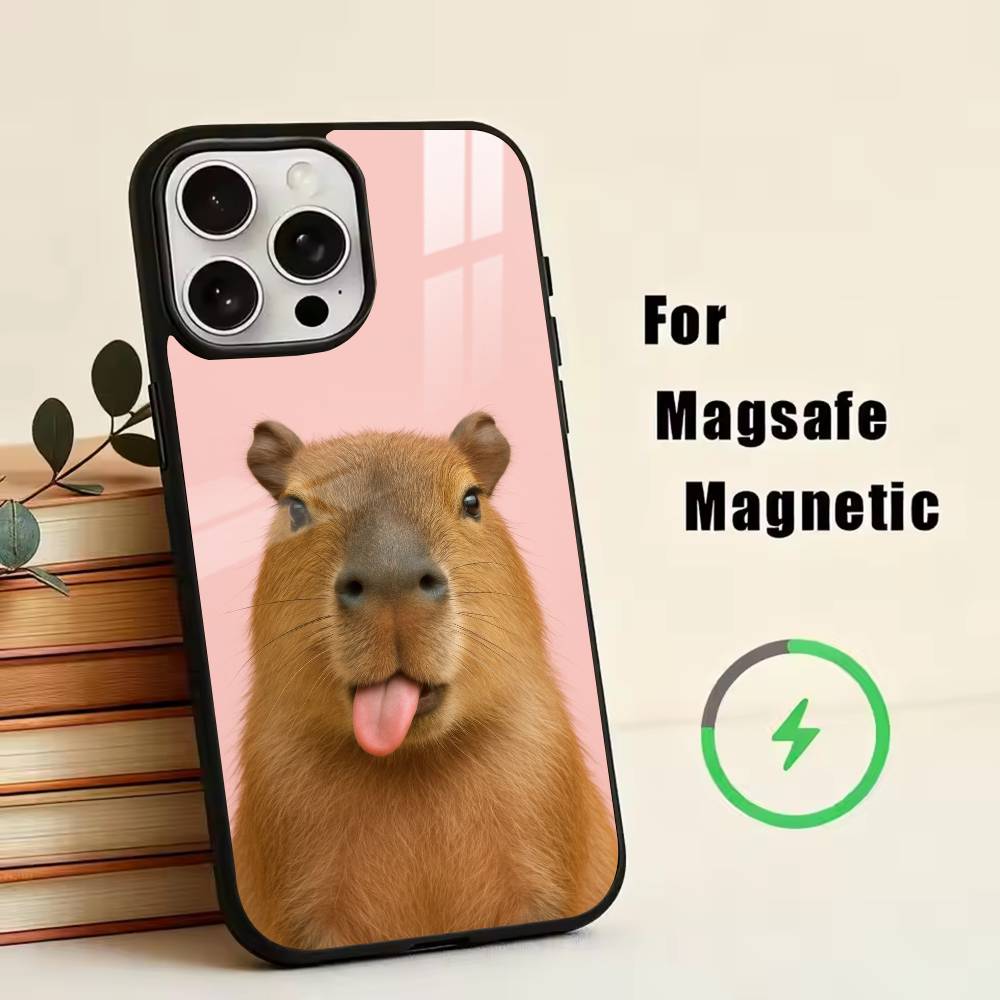 Süßes Capybara Handyhülle Für iPhone17,16,15,14,13,12,11 Plus,Pro Magnetisch mit Magsafe Kabellosem Laden