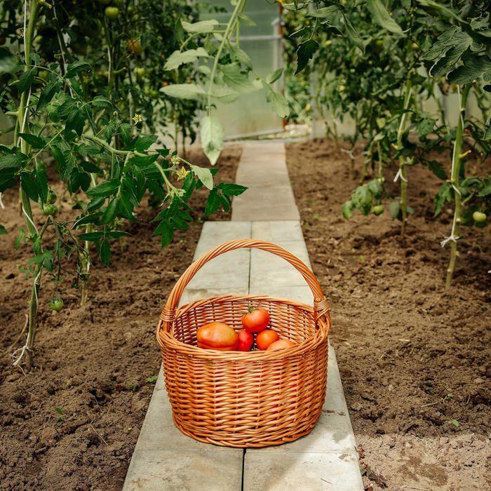 Panier en Osier avec Poignées - CREATIVE HOME - 35 x 35 x 36 cm - Marron - Artisanal - Adulte