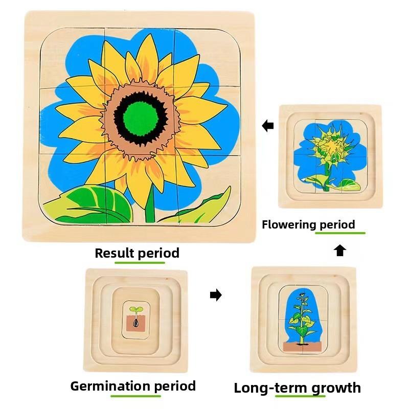 

Wooden Kids Animal Growth Cycle Puzzle Educational Toy For Kids Early Education Sunflower Puzzle