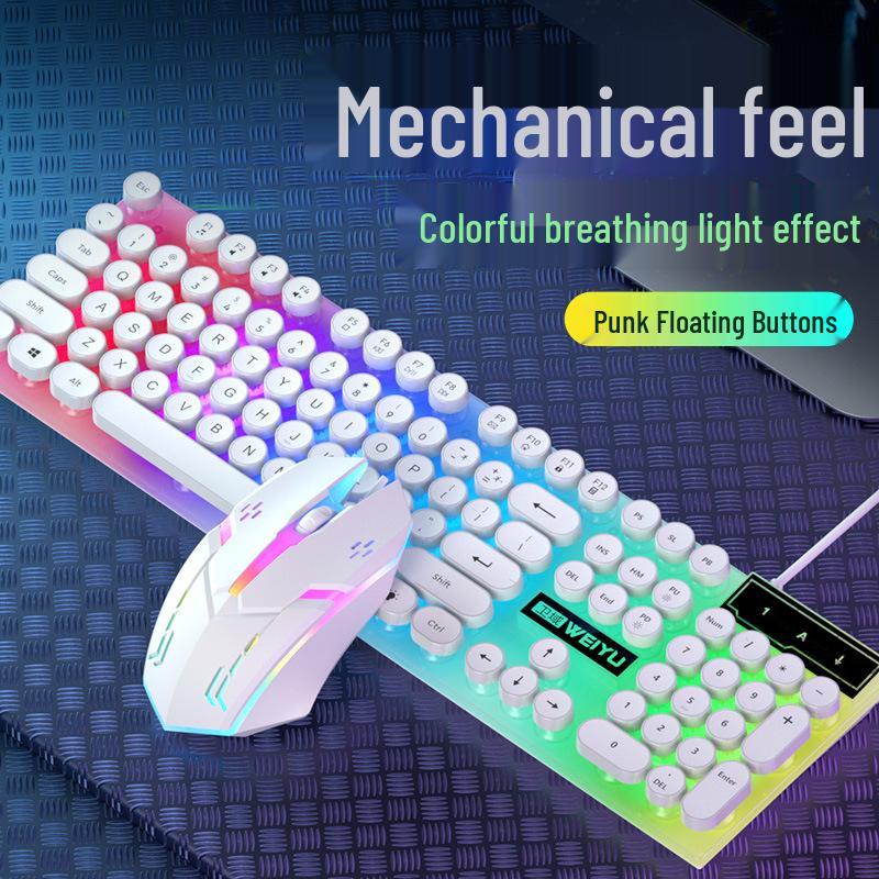 Retro Punk Luminous Gaming Keyboard & Mouse Set with Mechanical Feel - Wired Esports Style