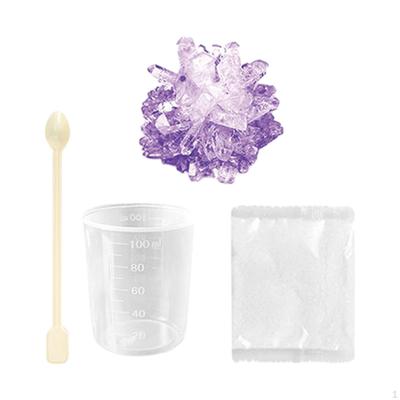 Crystal Growing Amazing Leaning Novelty Creative Educational Toy Science Exploration for Holiday