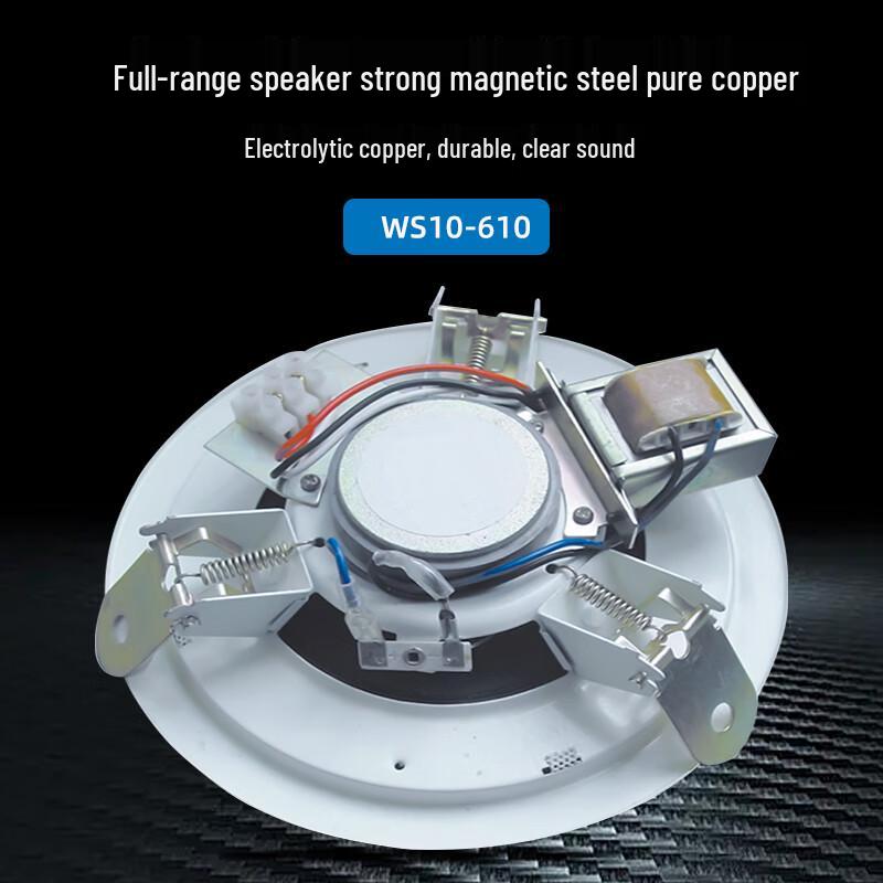 Weishu WS14-630 6-inch 30W Coaxial High-Fidelity Ceiling Speaker (CN version)