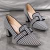 Fashion Spring Autumn Vintage Plaid Pumps Women Plus Size 36-43 Pointed Toe High Heel Shoes Woman Shallow Slip On Pumps with Heels Lady