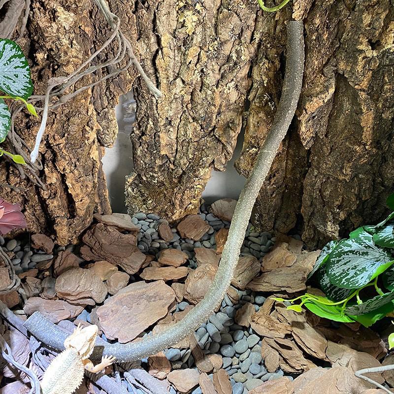 1M Artificial Reptile Vines Flexible Bendable Jungle Climbing Fake Rattan Plants For Lizards Terrarium Tank Pet Habitat Decor