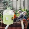 Large Capacity Automatic Bird Water Dispenser Plastic Pigeon Quail Portable Pet Waterer Container Pigeon Bird Waterer Supplies