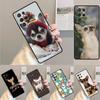 Cute Chihuahua Dogs Phone Case for Samsung Galaxy Note 10 Pro S26 Ultra S23 S24 FE S25 S21 S22 PLUS Shockproof Cove