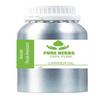 Avocado 100% Persea Americana Pure & Natural Carrier Oil