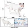 Realistic Animal Models: White Fox, White-tailed Deer, Arctic Fox Children's Gift Toys