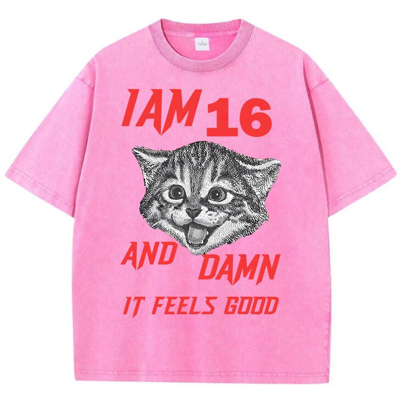 I Am 16 And Damn It Feels Good Pattern Male T-Shirt Retro Casual Tee Shirts Street Short Sleeve Summer Loose Clothes
