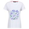 Regatta Womens/Ladies Filandra VIII Floral T-Shirt